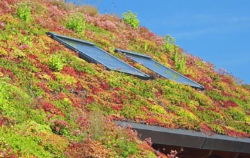Hullavington living roof systems