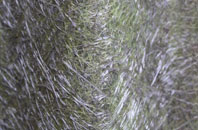 Hullavington fibreglass roof work